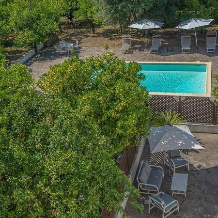 Апартаменти Casa Gege', For Up To 5 Guests, Shared Pool, Sorrento Center Екстер'єр фото