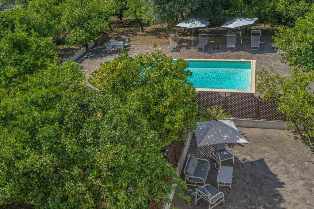 Апартаменти Casa Gege', For Up To 5 Guests, Shared Pool, Sorrento Center Екстер'єр фото